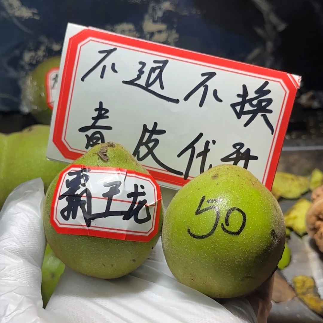 文玩核桃吊坠霸王龙开果不退不换