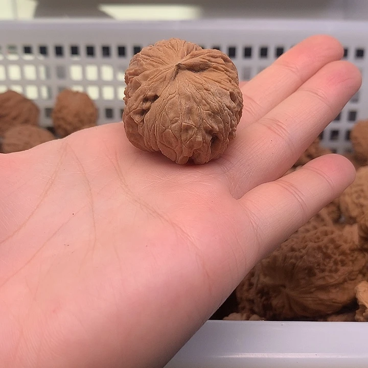 静***朗文玩核桃吊坠文玩核桃
