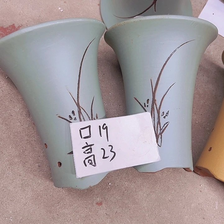 紫砂紫砂紫砂紫砂紫砂紫砂