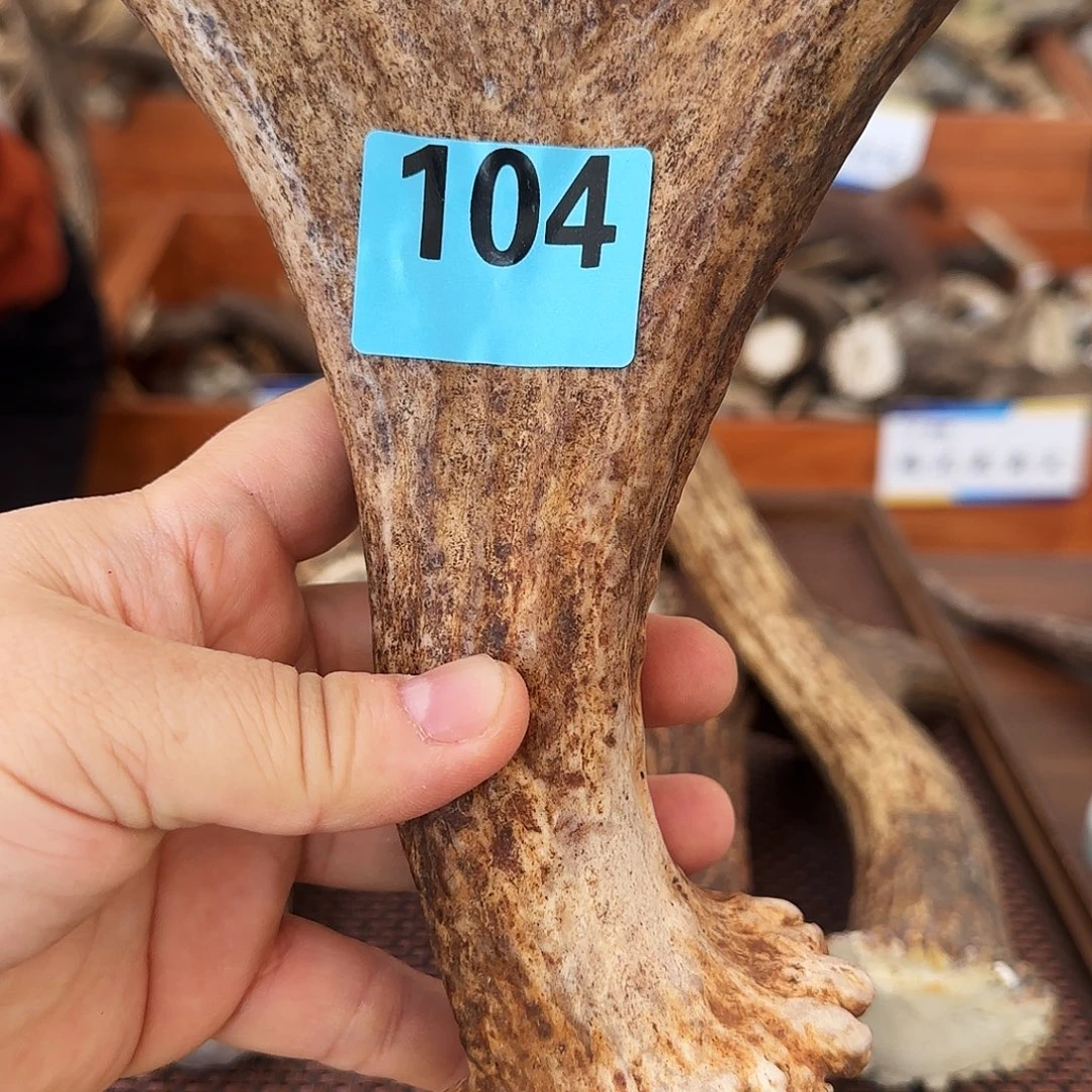 手串/手链鹿骨弹弓料104