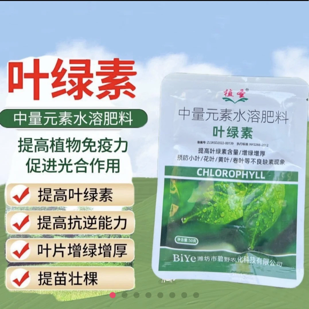 叶绿素中量元素肥料增绿增厚防小叶黄叶花叶