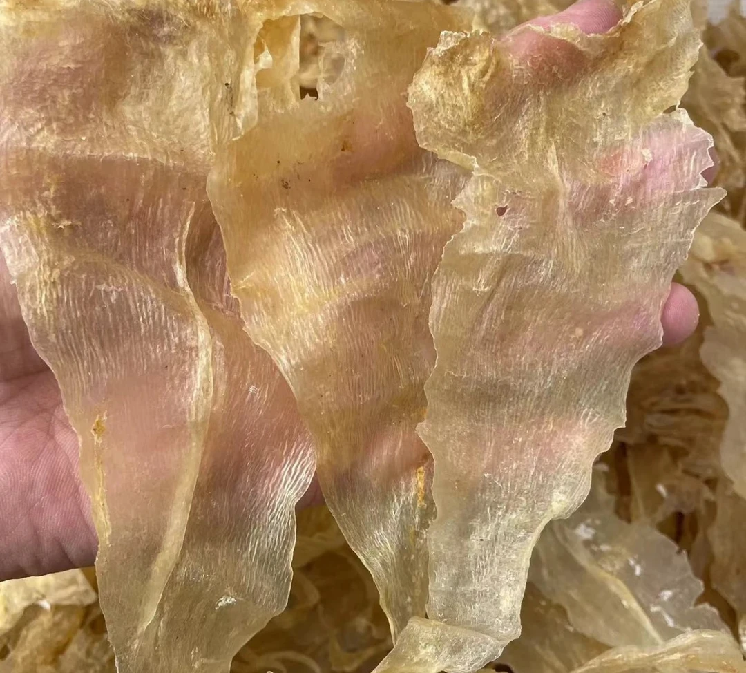 湛江鳘鱼胶100克，煲汤，炖牛奶