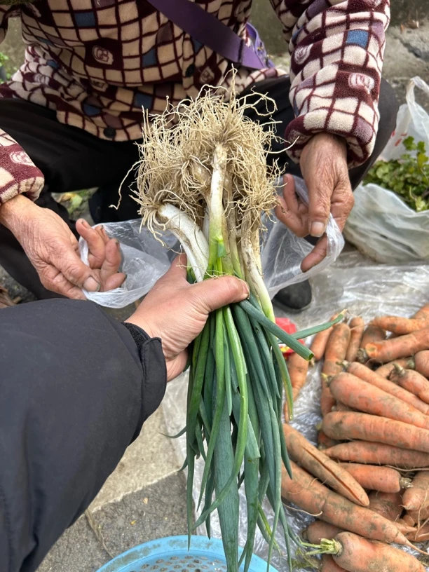 小葱农家自种1斤包邮