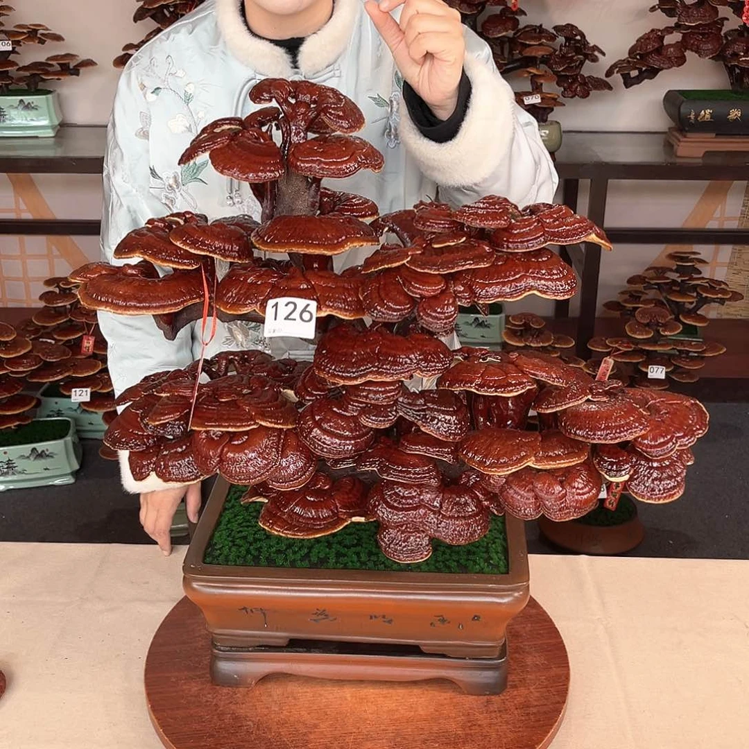 万事如意88888126