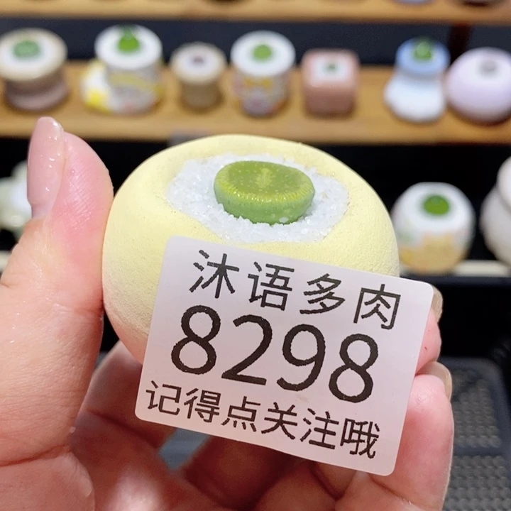 A***i带盆土植物 精美盆栽8298