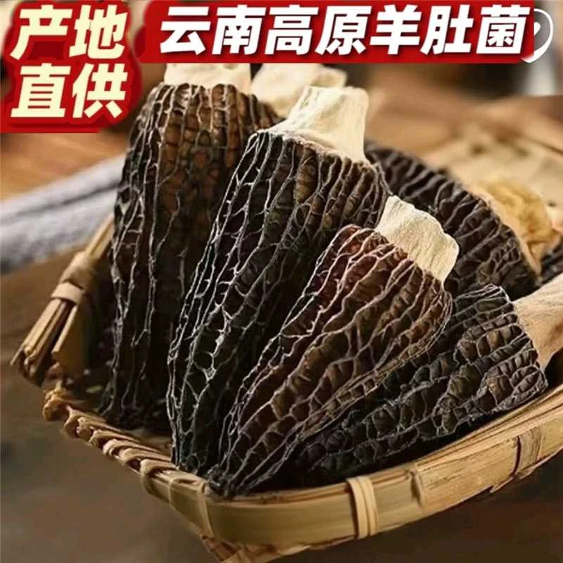 助农补贴  高山羊肚菌 5-8cm菌菇蘑菇煲汤煲汤饱满肉质