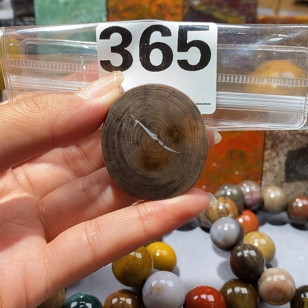 未镶嵌天然北票硅化玉吊坠硅化玉