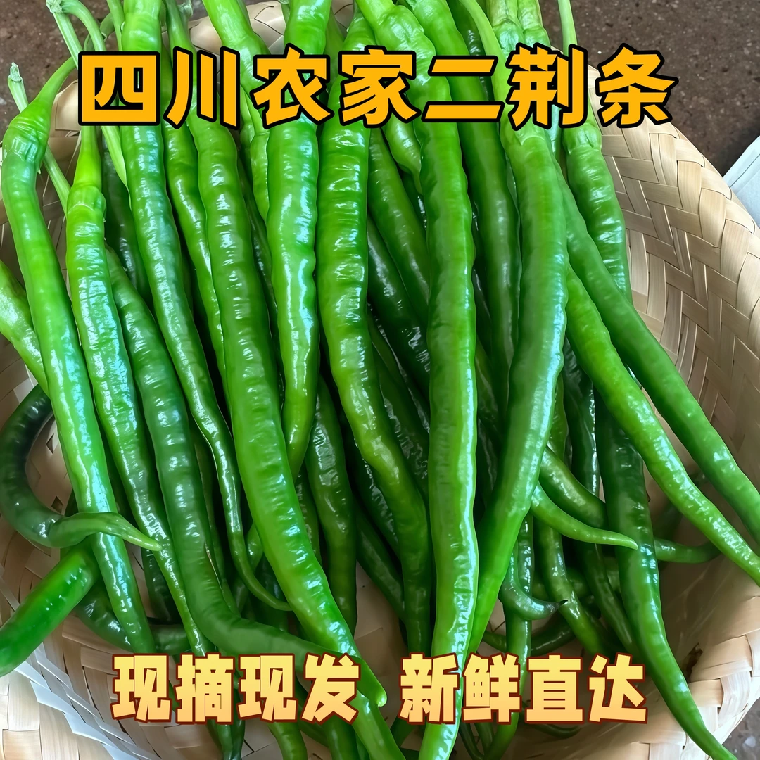 【李书记专属】四川农家新鲜薄皮二荆条新鲜农产品