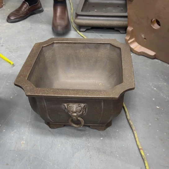 毛***哥紫砂花盆里都藏满花