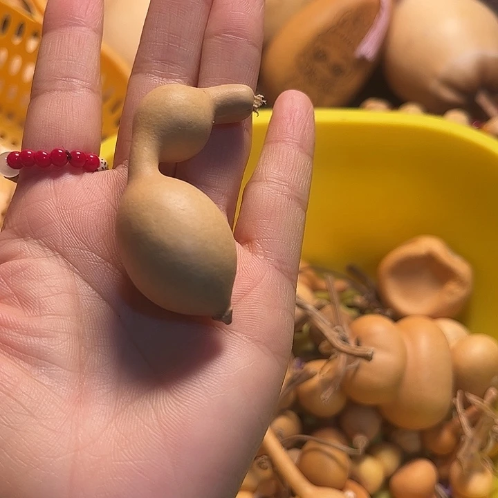 星***」天然葫芦00000000001