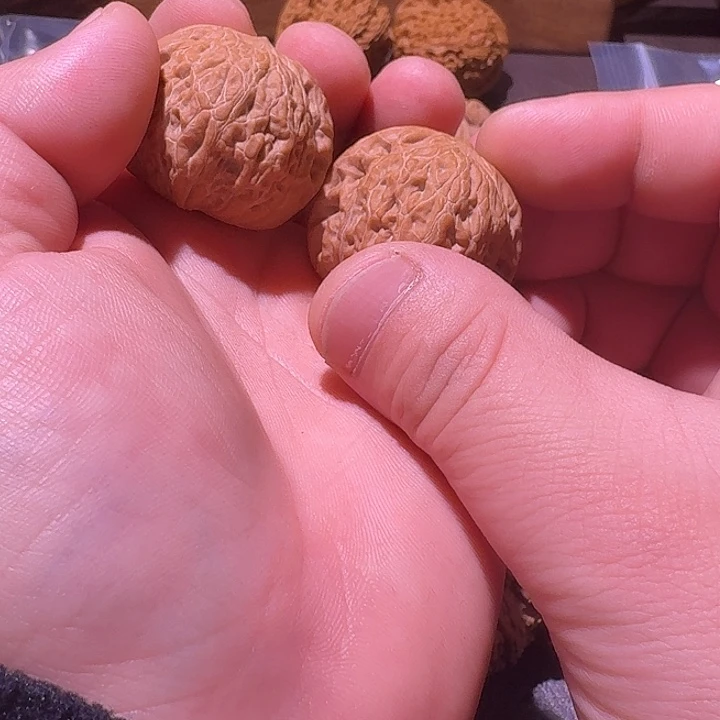 核桃三号铁锤文玩核桃