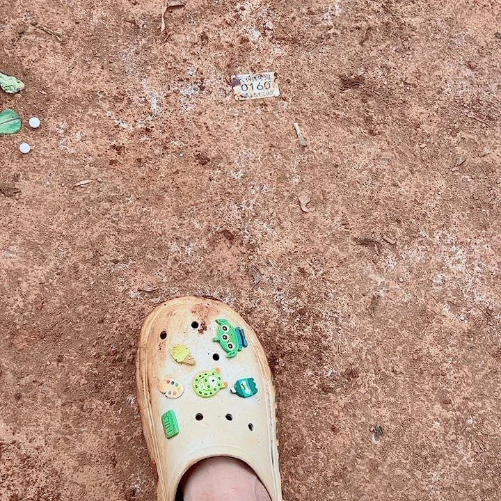 寄养链接多肉植物大战