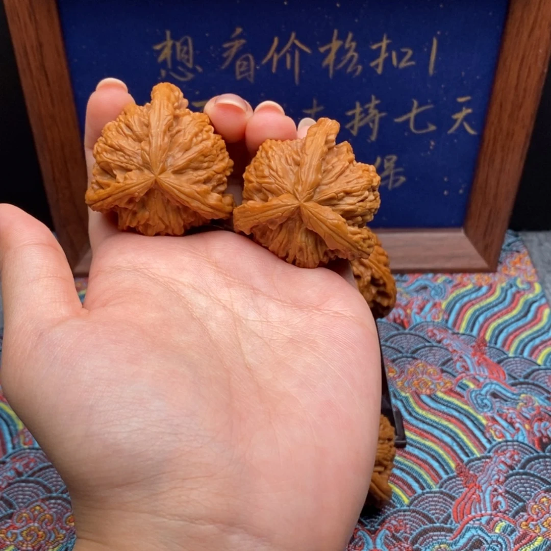 【闪购商品】范*白狮