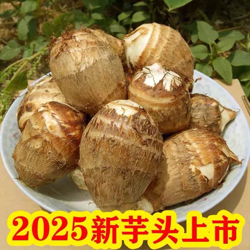 湖南新鲜软糯小芋头农家自种粉糯小芋头软糯牛奶芋头芋艿新鲜现挖