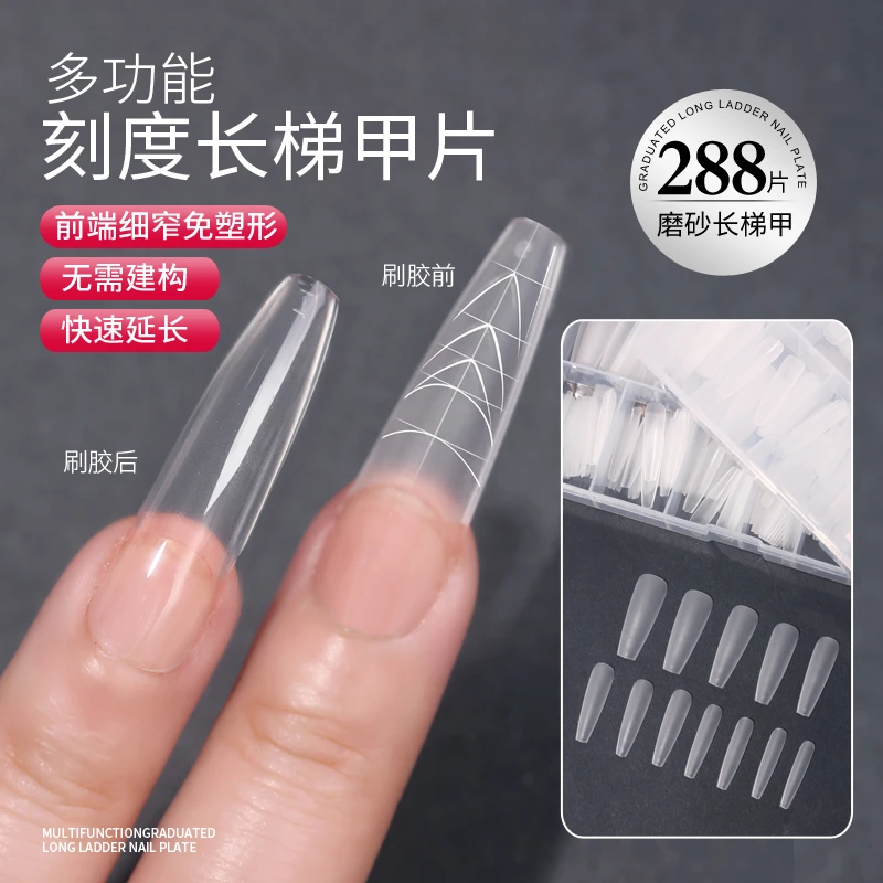 新款带有辅助线刻度线长梯细狗美甲甲片延长甲片新手好用甲片