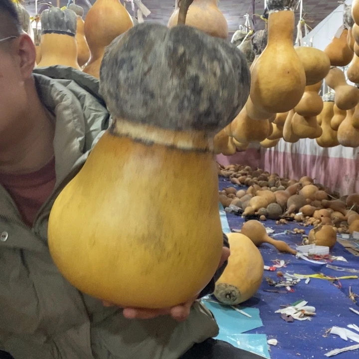 新***C葫芦葫芦hulu葫芦葫芦