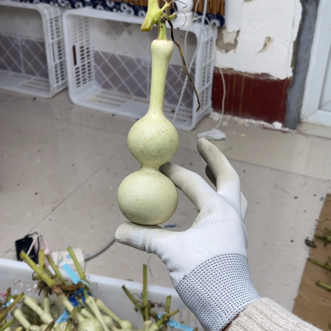 夏***之啊啊啊啊啊啊啊啊啊啊啊啊