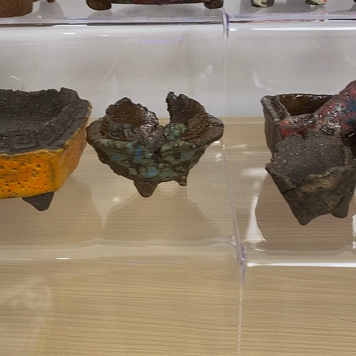 俺***町无花朵78888888888