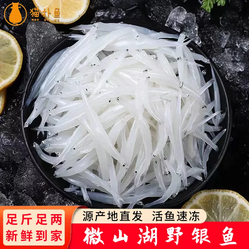 猫扑鱼微山湖新鲜速冻银鱼鲜活淡水鱼面条鱼白饭鱼无刺无骨辅食