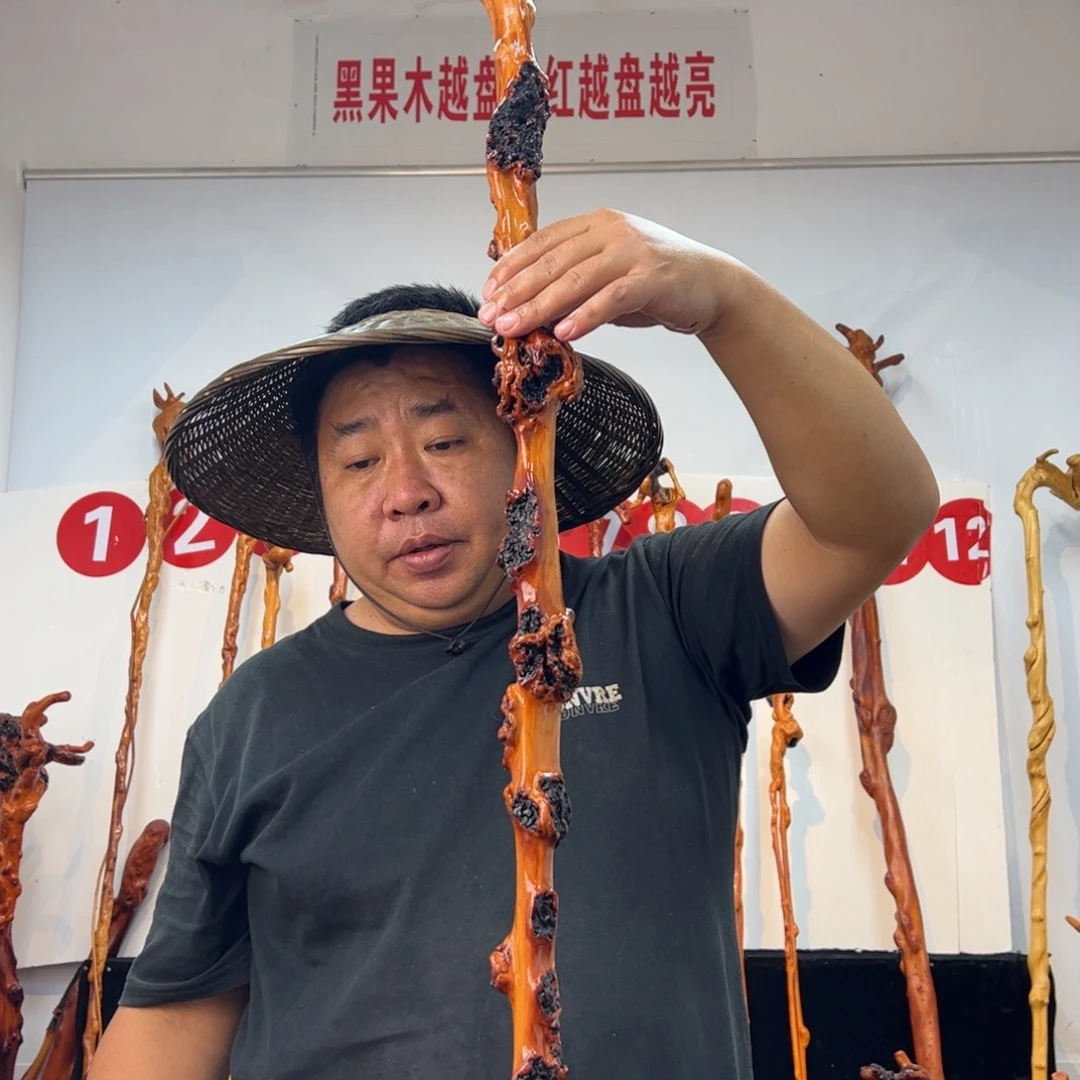 黑果木其他黑果木451