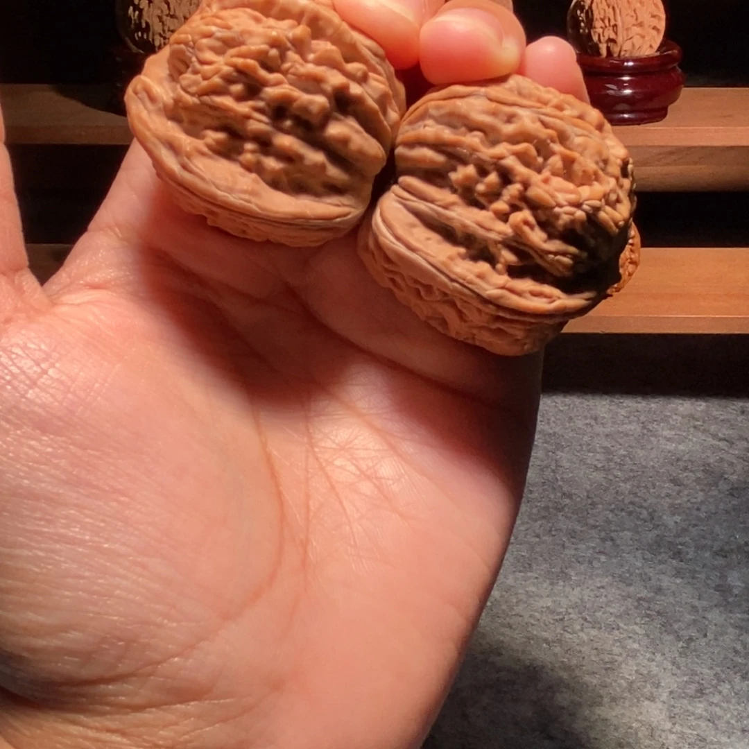 猫***海其他核桃汉高楼无修全品40