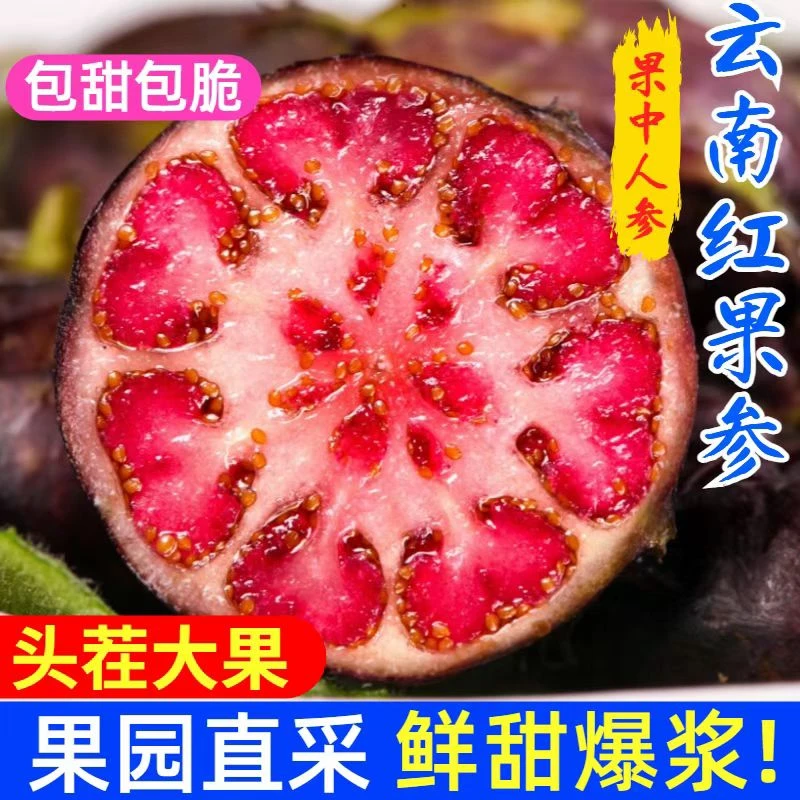 云南红果参新鲜现摘8盒大果蜘蛛果新鲜采摘当季稀有水果红参果大