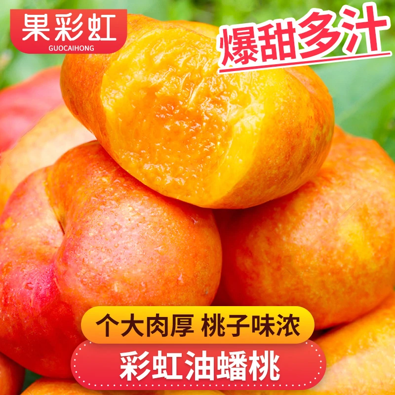 【果彩虹专属】彩虹油蟠桃1-4.5斤个大肉厚爆甜多汁新鲜应季水果桃
