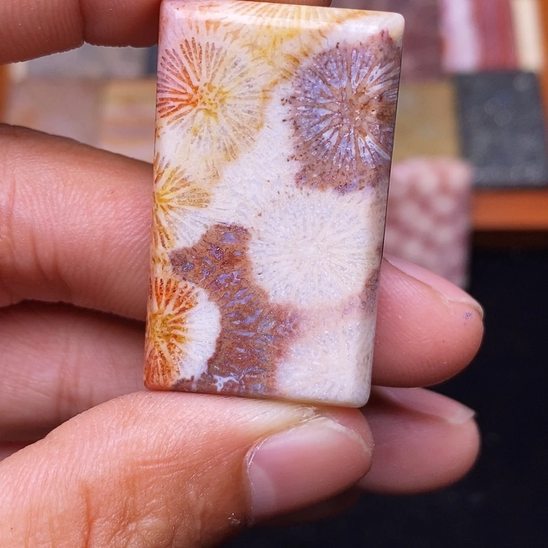 喜***七合金珊瑚玉硅化玉