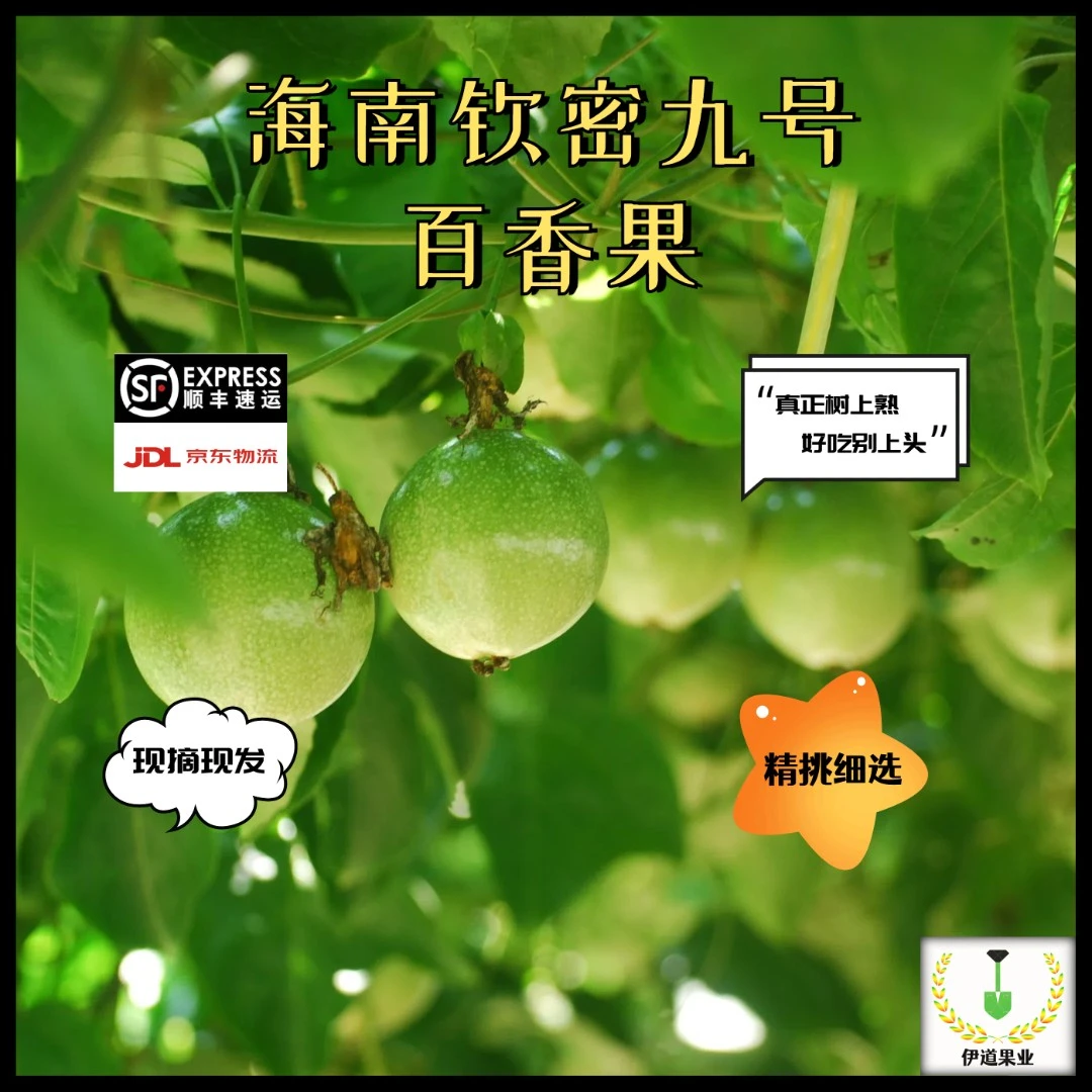 顺丰京东直发海南正宗钦密九号百香果新鲜高品质原产地发货