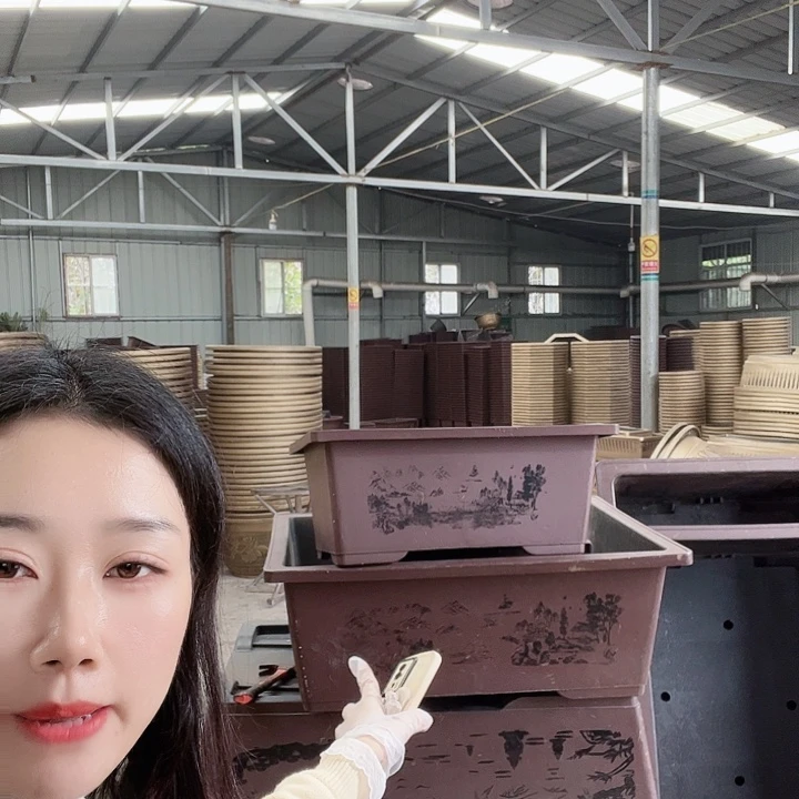 盆景80公分一个有孔