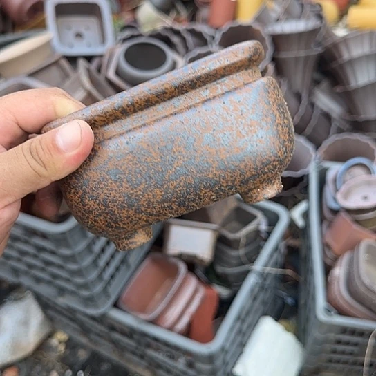 是因为它具有非常丰富且独特