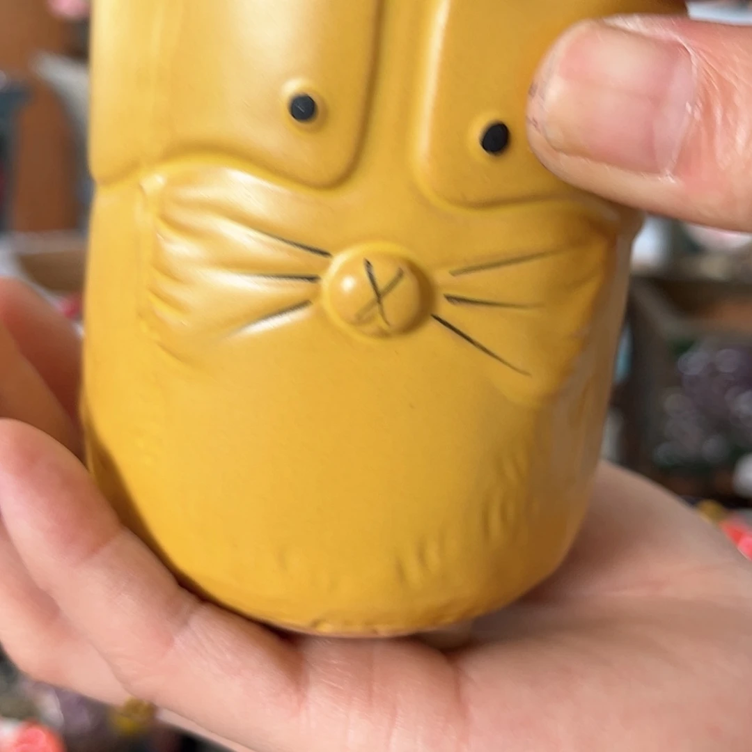 【闪购商品】红陶福利