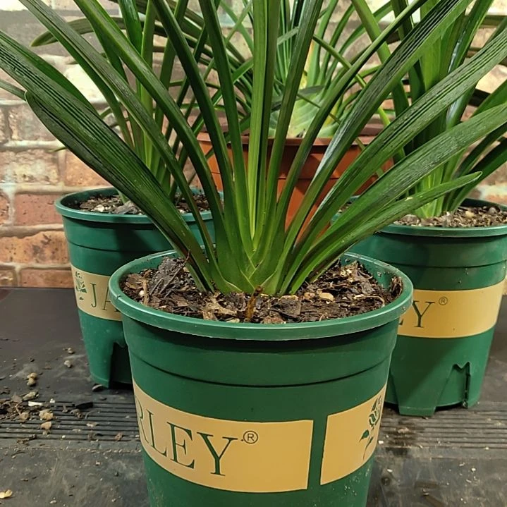 完全开放1111111111