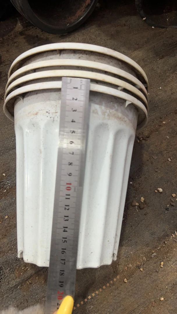 塑料旧花盆，罗马柱白厚圆高盆21.5口径20高 4个