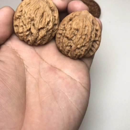 36尺寸麦碎虎头核桃