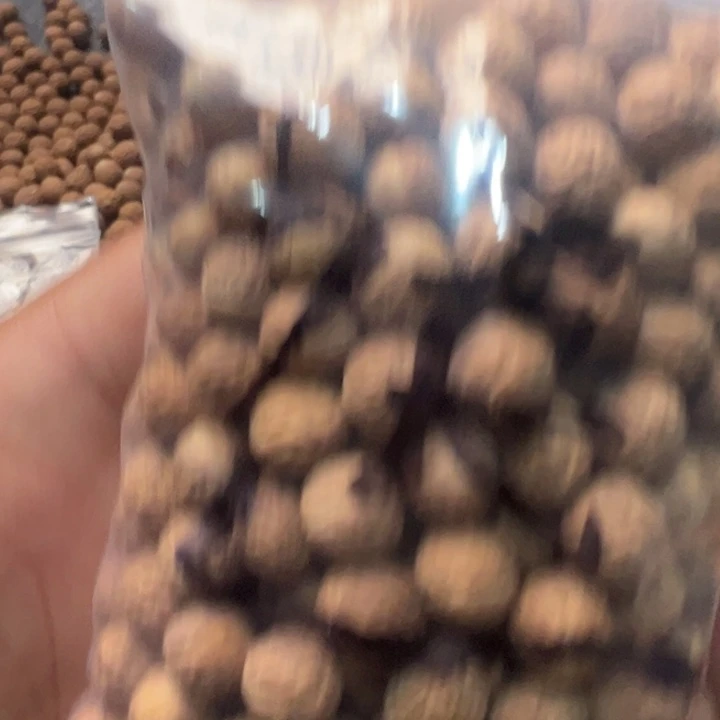 ****࿐吊坠凤眼菩提文玩酸枣核