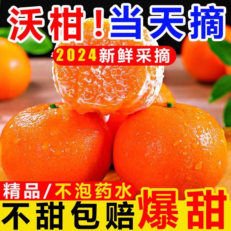 【正宗】广西武鸣沃柑带箱5斤桔子橘子新鲜采摘爆甜