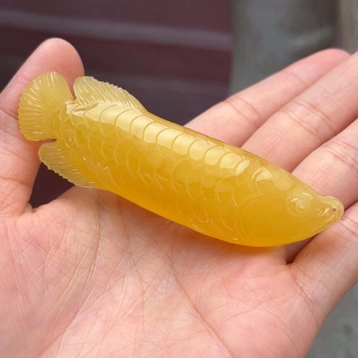 未镶嵌蜜蜡珠宝奇石金龙鱼