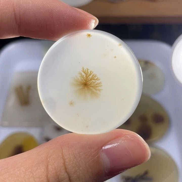 玛瑙/玉髓未镶嵌玛瑙象形福利款