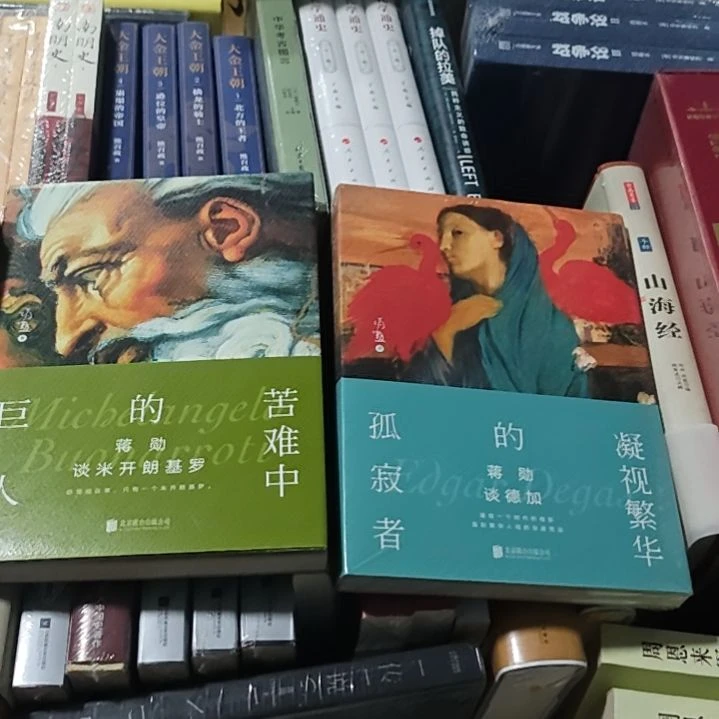 蒋勋谈米开朗基罗加上蒋勋谈德加。