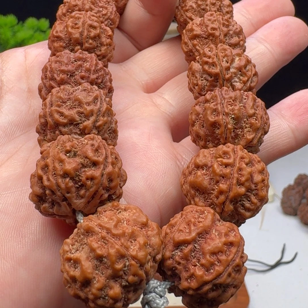 手串金刚菩提粗筋梅花双龙