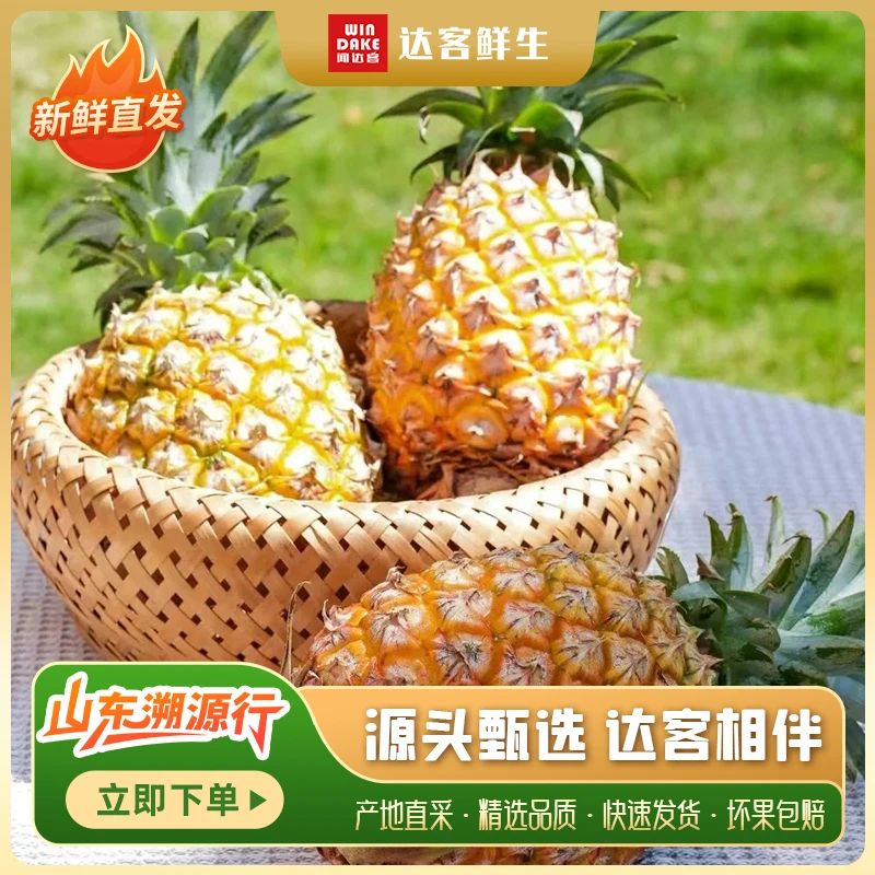 【达客甄选】海南金钻凤梨新鲜水果4-6斤/2个香甜 好吃坏果包赔