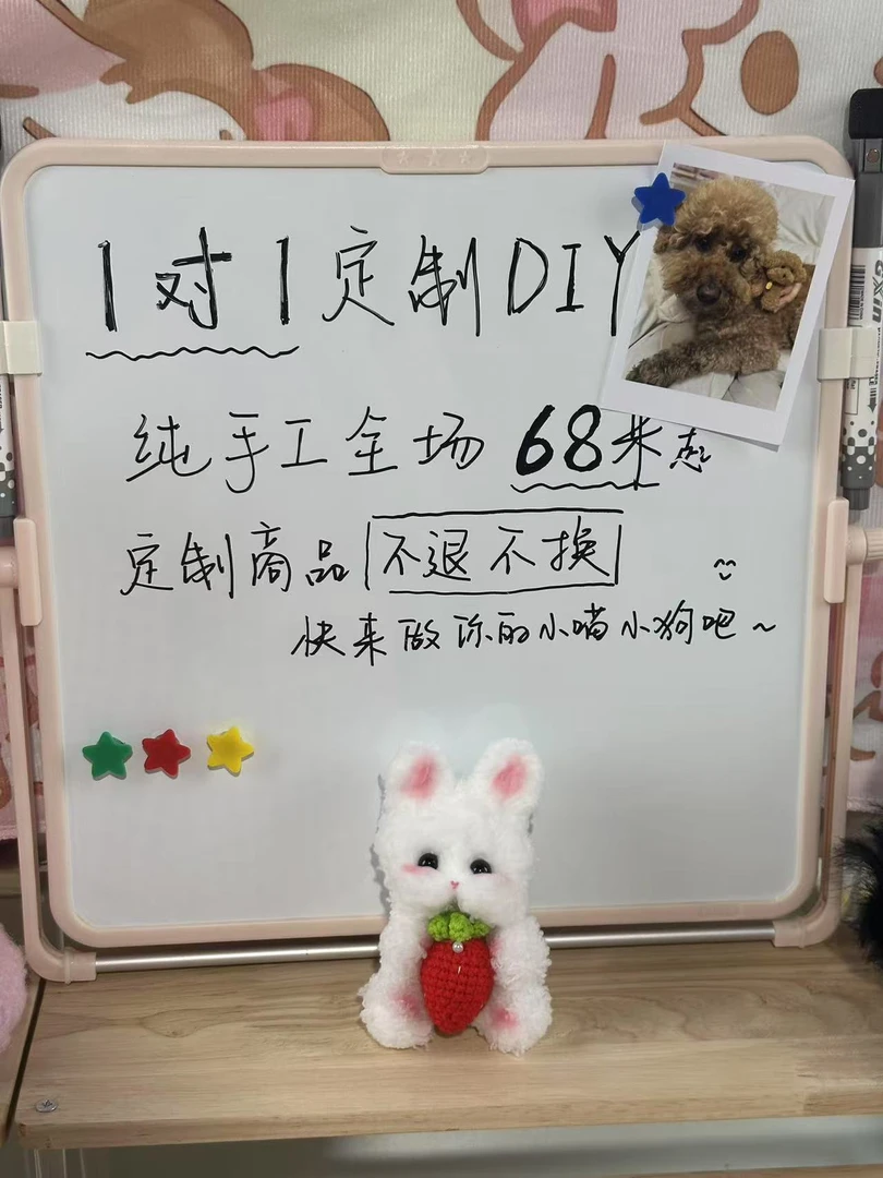 一对一手工定制类小宠物玩偶 定制类不退不换