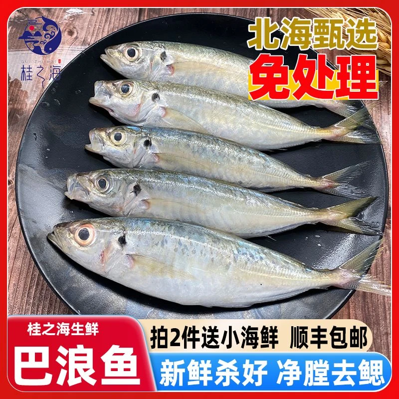 北海巴浪鱼新鲜冷冻深海鱼棍子鱼池鱼活鱼杀好去内脏海鲜大竹荚鱼