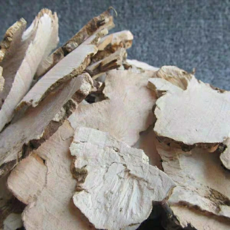 【粉丝专属】拍一发五 泡酋 土茯苓 外用