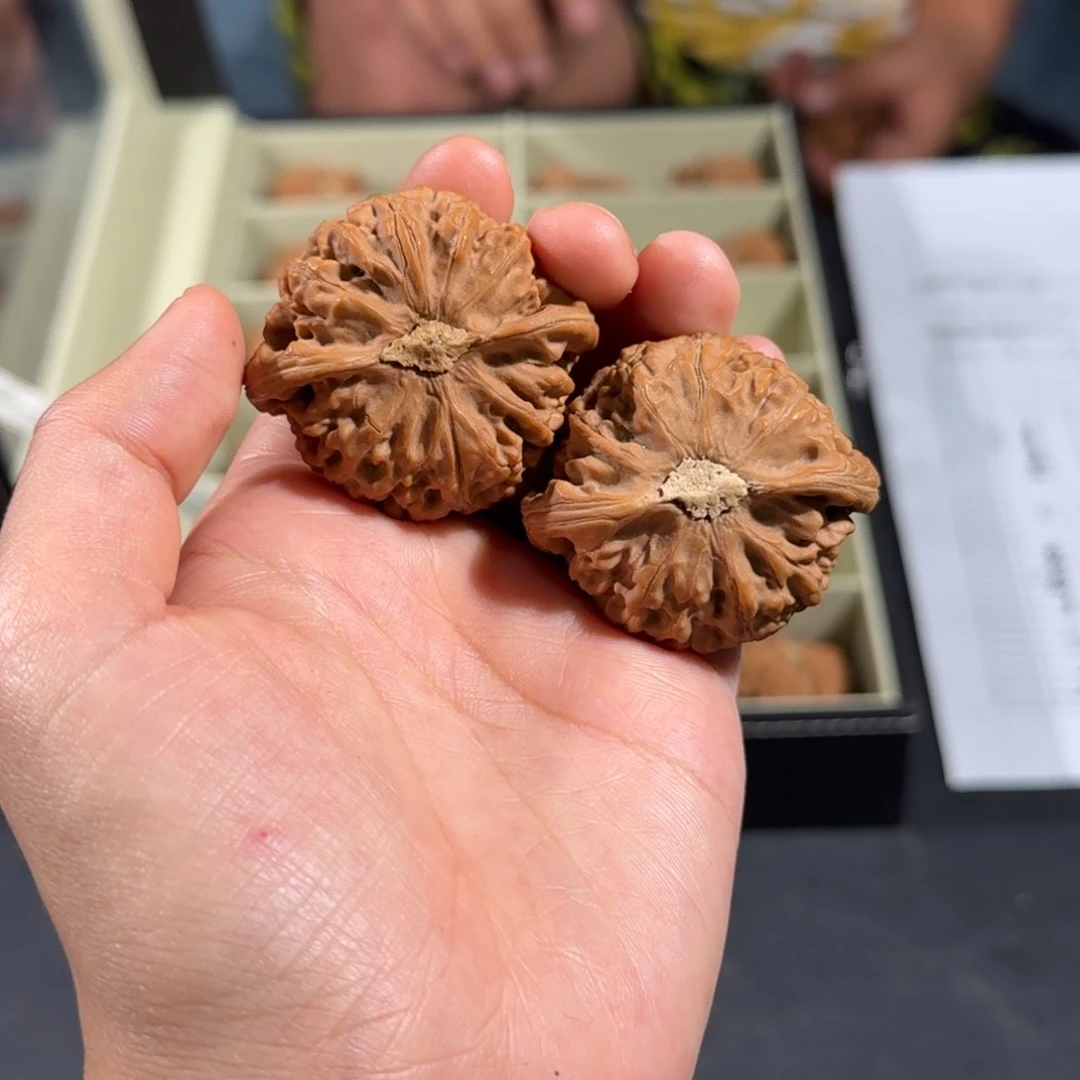 文玩核桃把件218号40-43m m宫灯狮子头