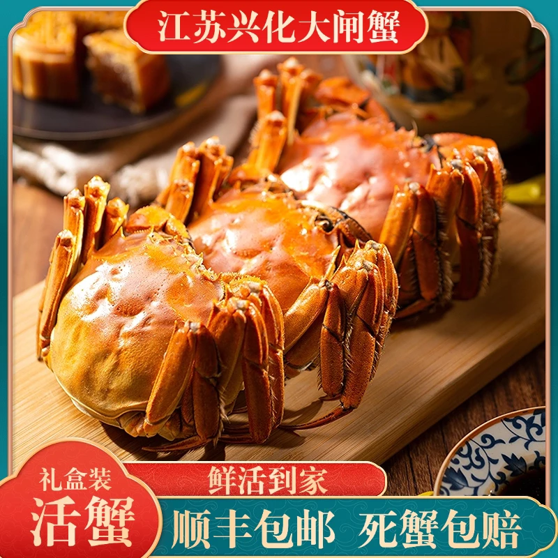 【活蟹】江苏兴化大闸蟹全母蟹 2.8-3.2两8只礼盒装鲜活到家