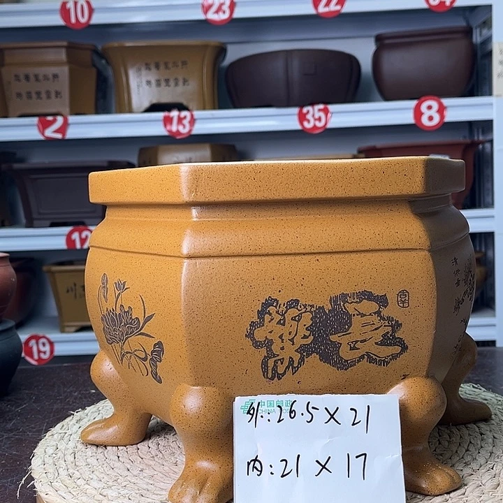 花盆紫砂你在一起