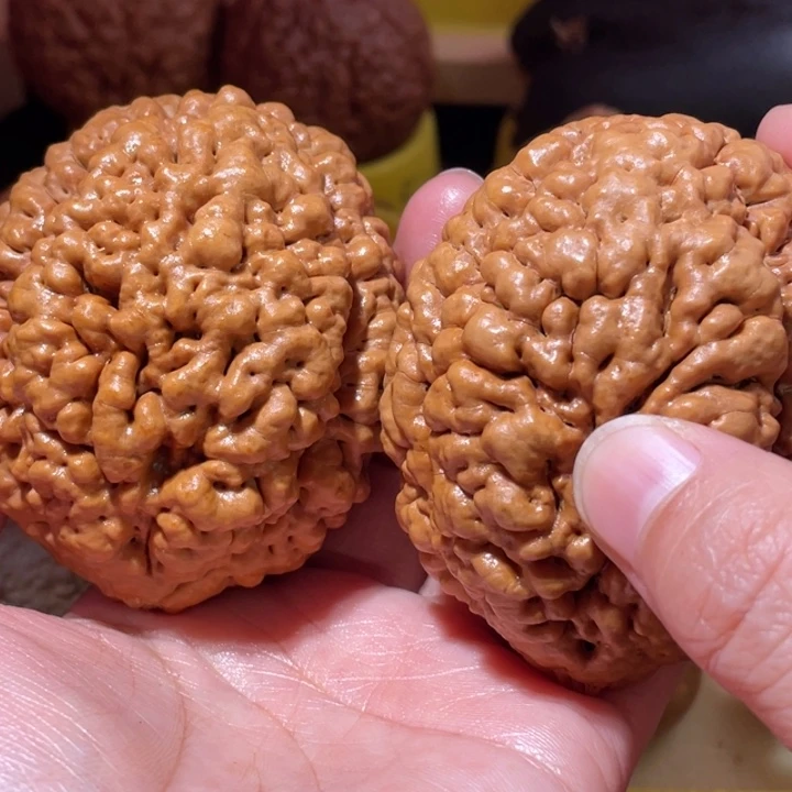 桃核把件疙瘩龙金刚菩提