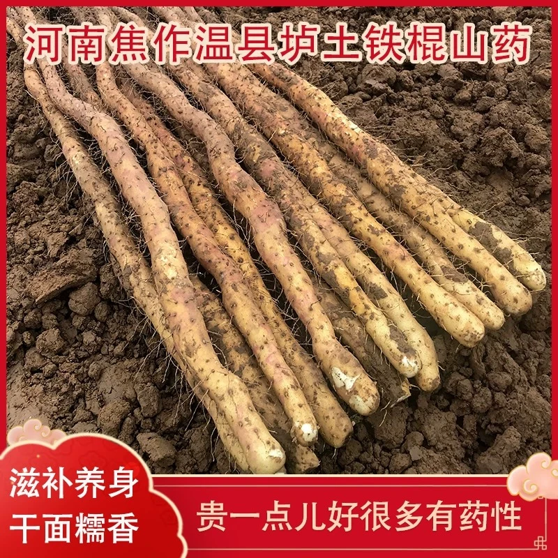 温县垆土铁棍山药怀山药现挖香甜粉糯净重3斤五斤新鲜原产地发货